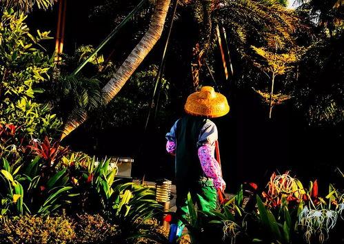 抖音网红兰花花,从乡村女孩到网红的蜕变之路