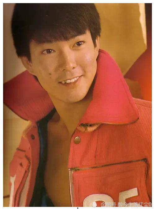 香港明星 田,香港影视界的璀璨明星