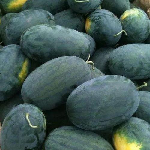 湖北仙桃吃瓜,瓜香四溢，品味夏日田园风情