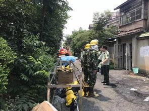 城固县污染爆料案件最新,最新进展与调查结果揭晓