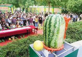 吃瓜网每日大赛入口,入口开启狂欢盛宴！