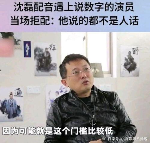 娱乐爆料配音员,揭秘配音员背后的精彩故事